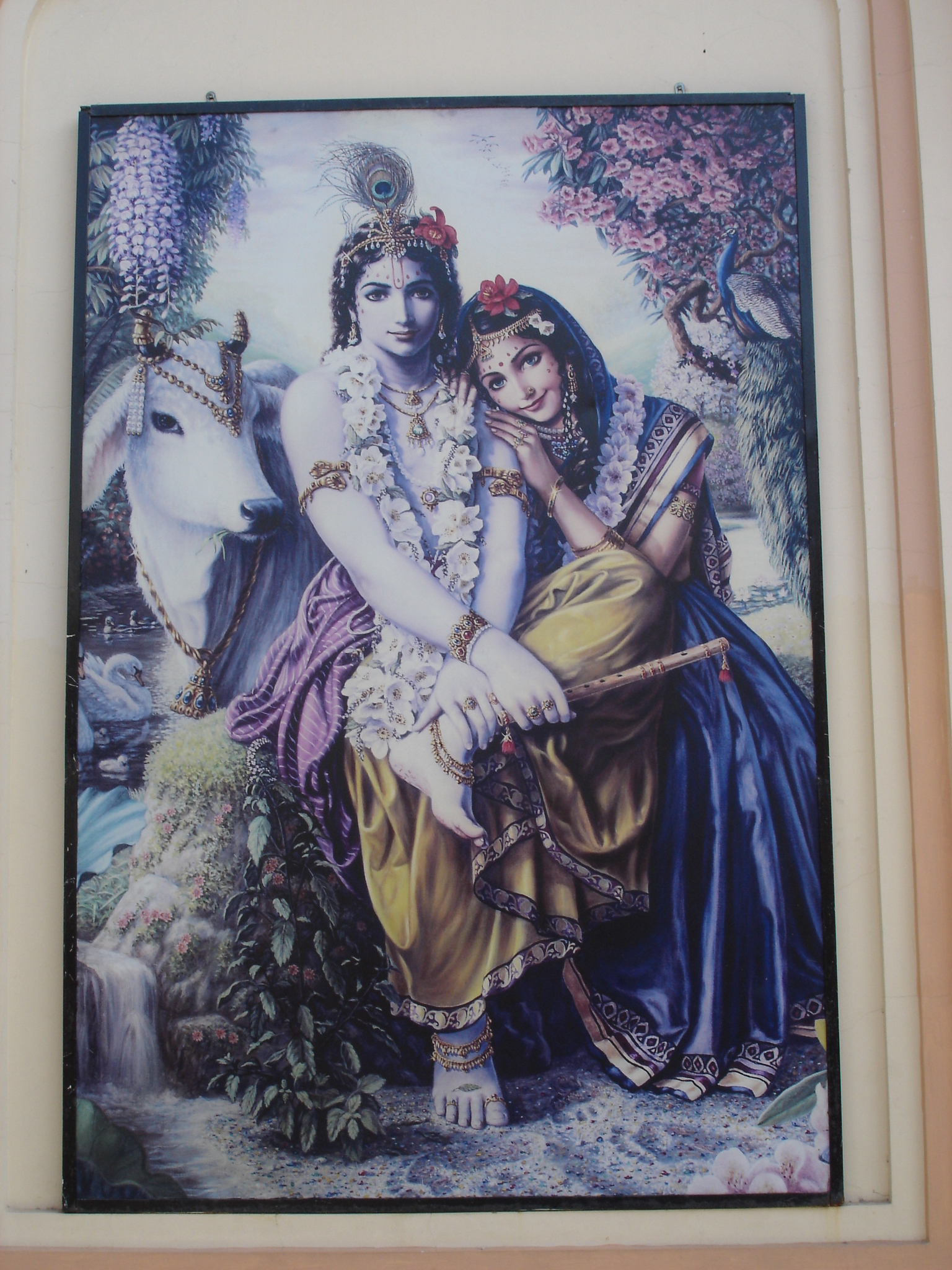 DSC00381