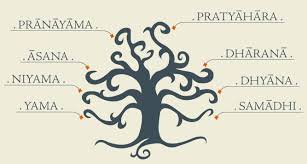 What are the eight limbs of yoga and their meanings? 7